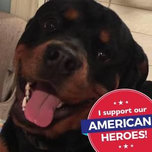 Meet your Posher, Tyler